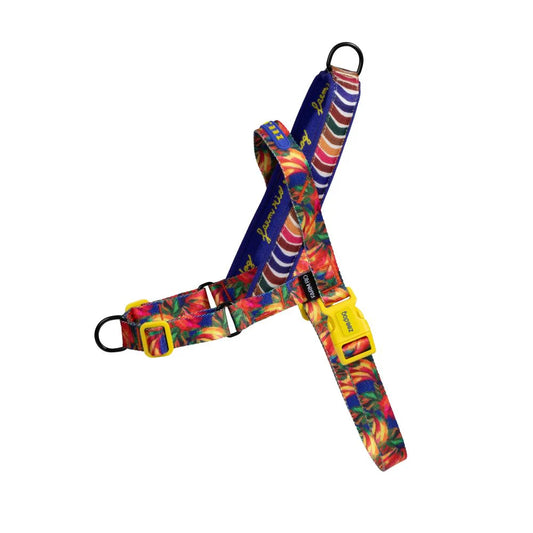 Zee.Dog Softer Walk Harness - Samba