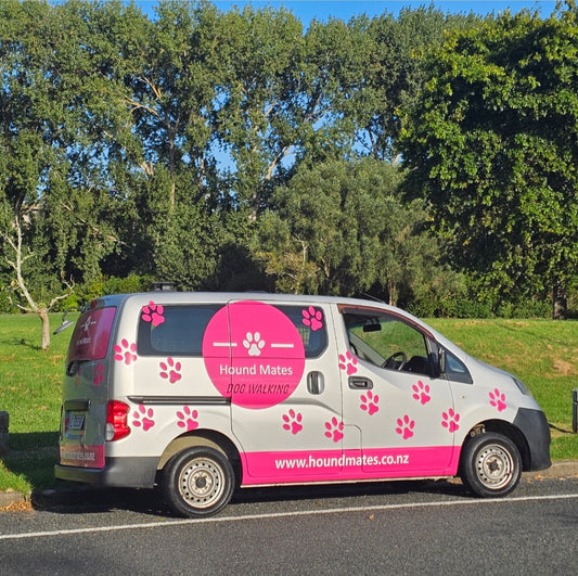 New wheels, more wags 🐾