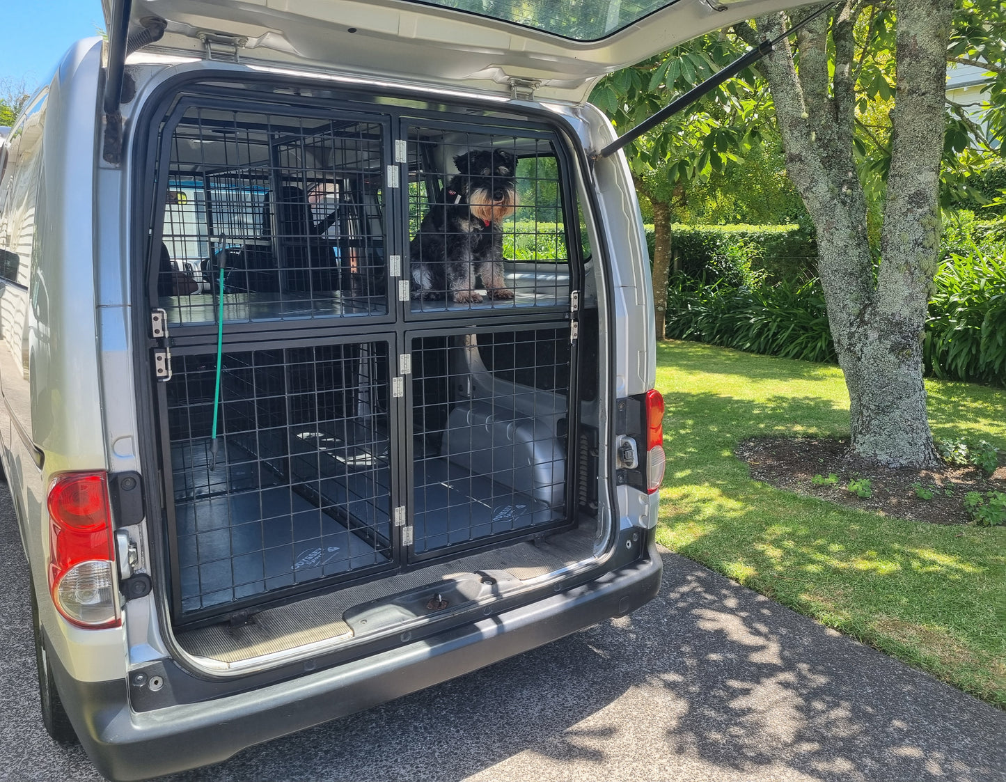 🚛 Kennel Transfers and North Island-Wide Pet Delivery