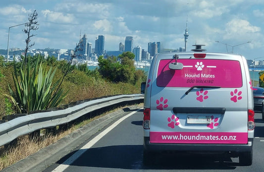Purpose-built dog transport van NZ North Island