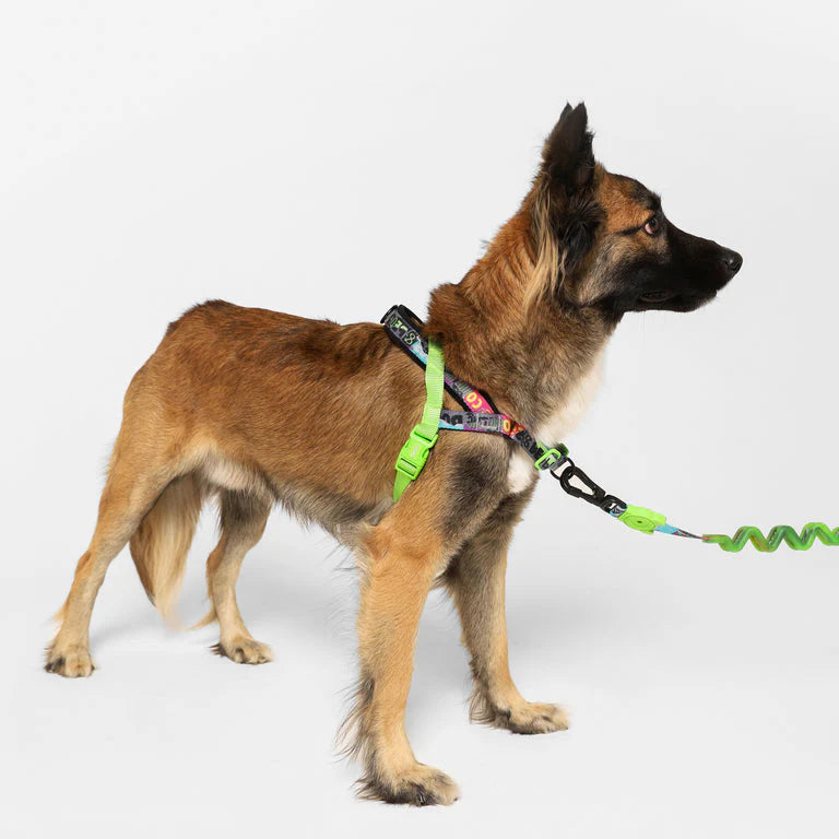 Zee.Dog Softer Walk Harness - Manifesto