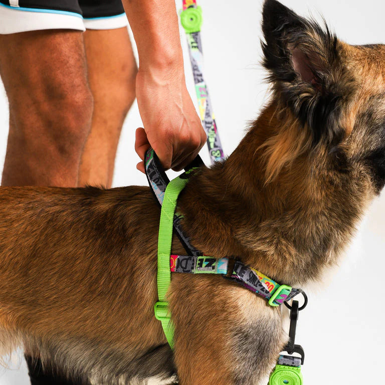 Zee.Dog Softer Walk Harness - Manifesto